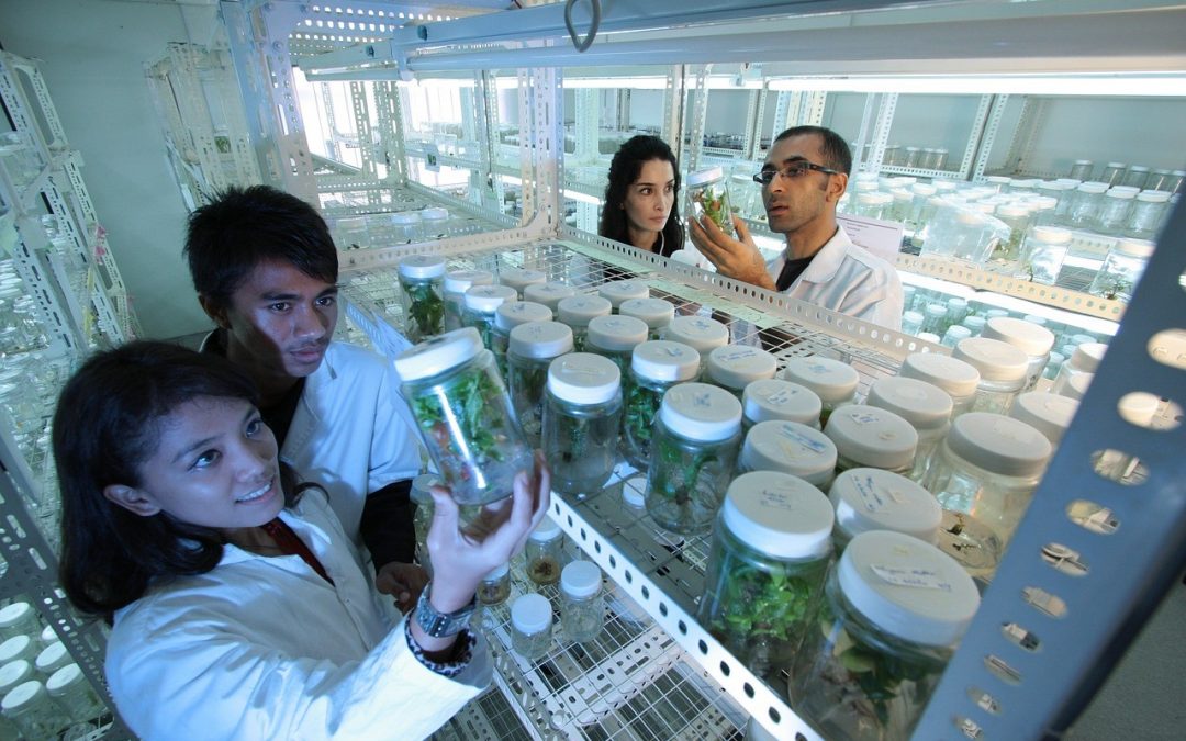 Biotechnology: Production of Natural and Sustainable Ingredients